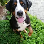 Duernberger Apartmán *