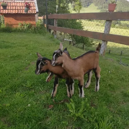 Duernberger * Liebenfels