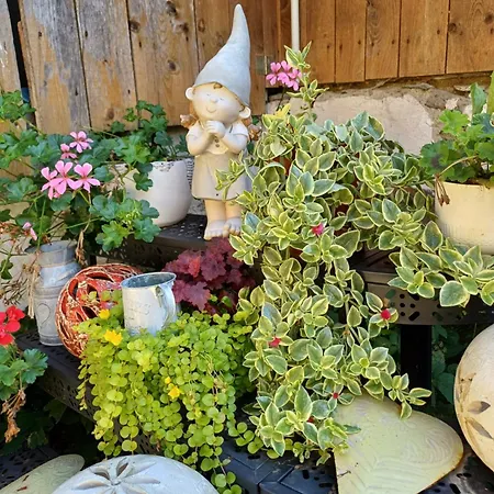 Apartamento Dürnberger Liebenfels