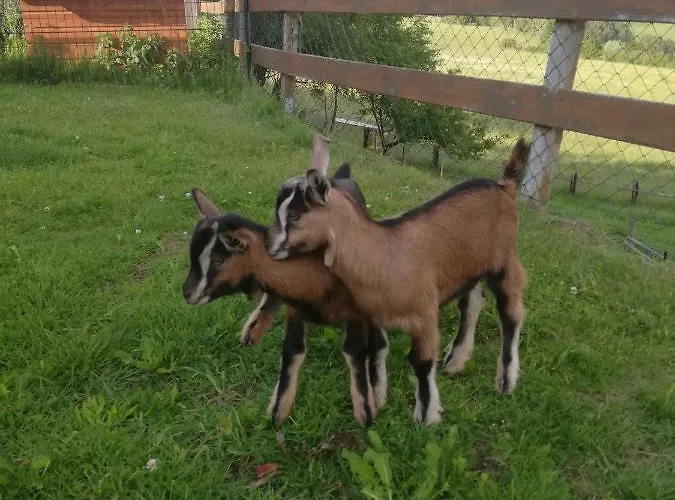 Duernberger * Liebenfels