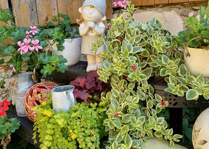 Apartmán Duernberger Liebenfels